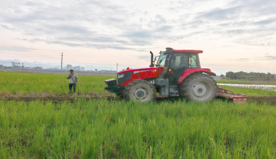 百色市田阳区百余台农机下田抢农时 加快秋菜种植进度