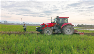 百色市田阳区百余台农机下田抢农时 加快秋菜种植进度