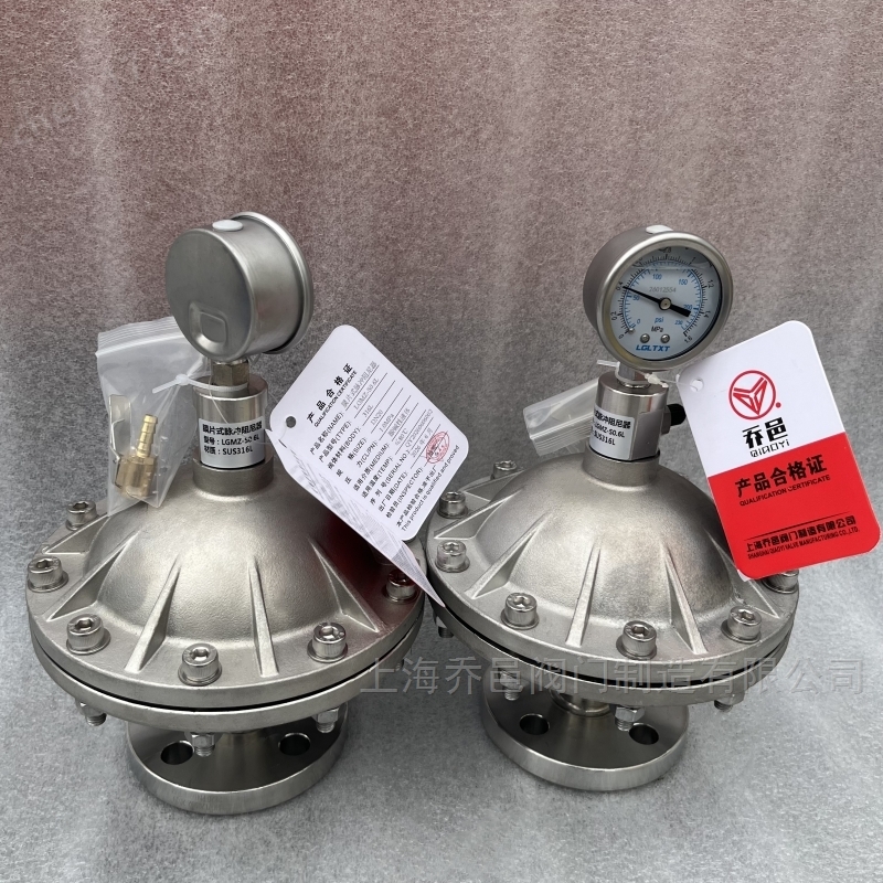 法兰式不锈钢316L膜片式脉冲阻尼器 法兰式不锈钢316L膜片式脉冲阻尼器